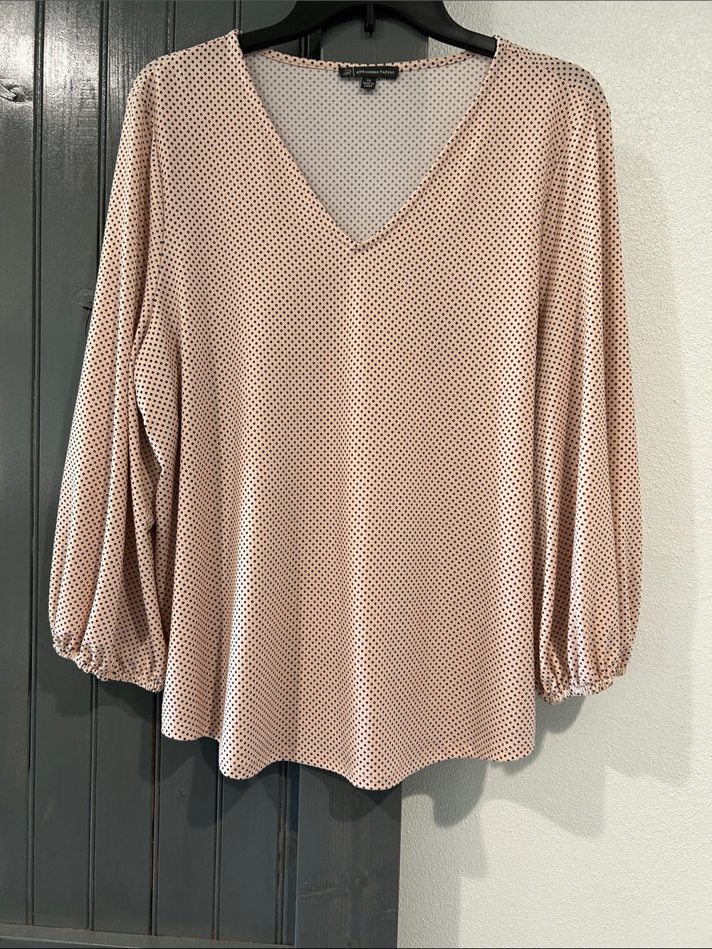 Adrianna Papell Blush Polka Dot V-Neck Long Sleeve Blouse